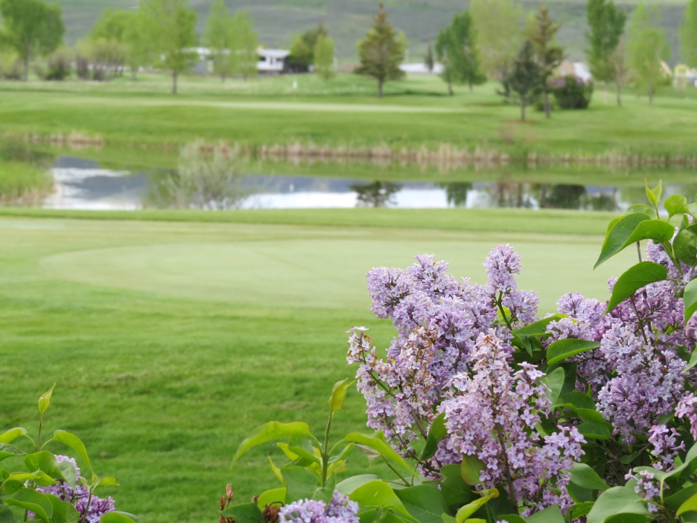 Yampa Valley Golf Course Craig, CO History & Photos